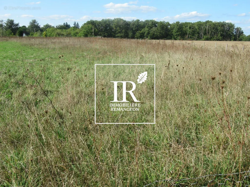 Aed - Constructible Plot with 23m Facade in Chaumont-Sur-Tharonne