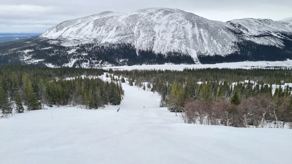 Chalet with Ski-in/Ski-out Access in Bydalen