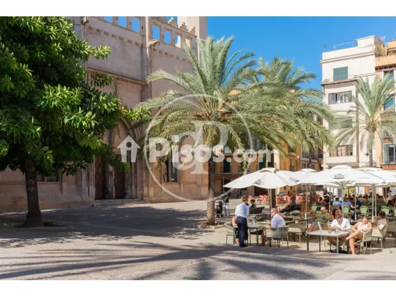 New Flat with Terrace in Palma de Mallorca
