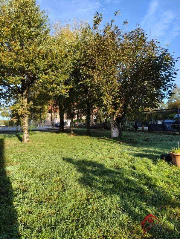 Jardin - Maison Authentique avec Jardin à Petit-Mercey