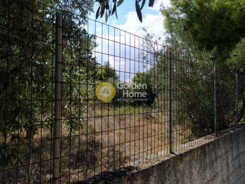 Jardin - Agricultural Plot with Sea View in Artemida