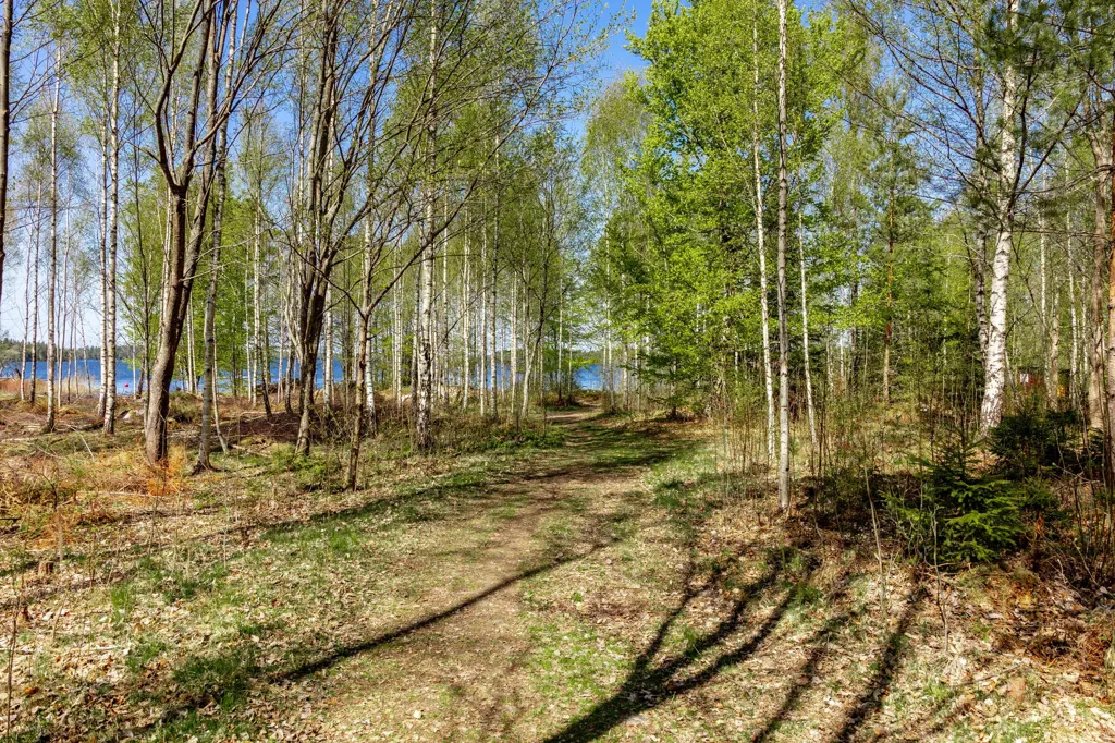 Garden - Apartment with Garden in Långarör