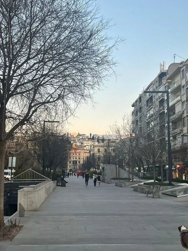 Furnished Apartment with Balcony in Granada Centre