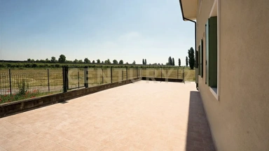 Terrace - New Ground-Floor Flat with Garden in Zevio