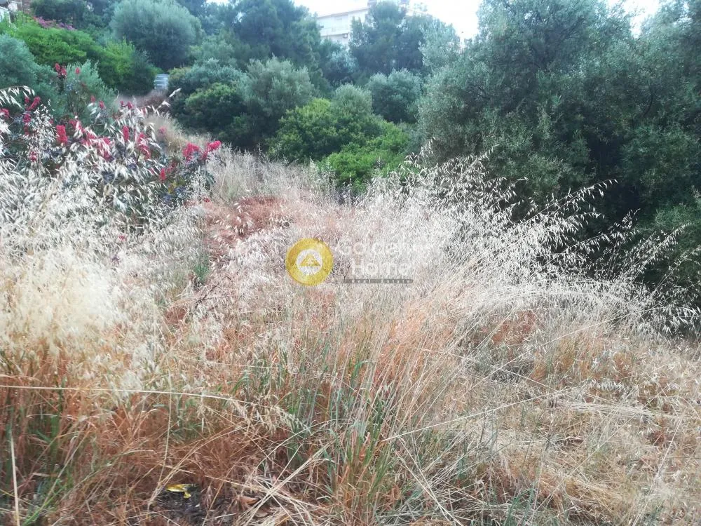 Jardin - Plot with Sea View in Sarandá, Eastern Attica