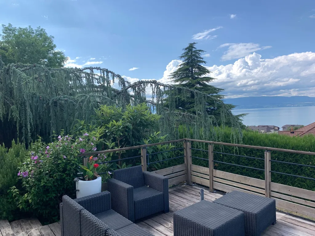 terrace_patio