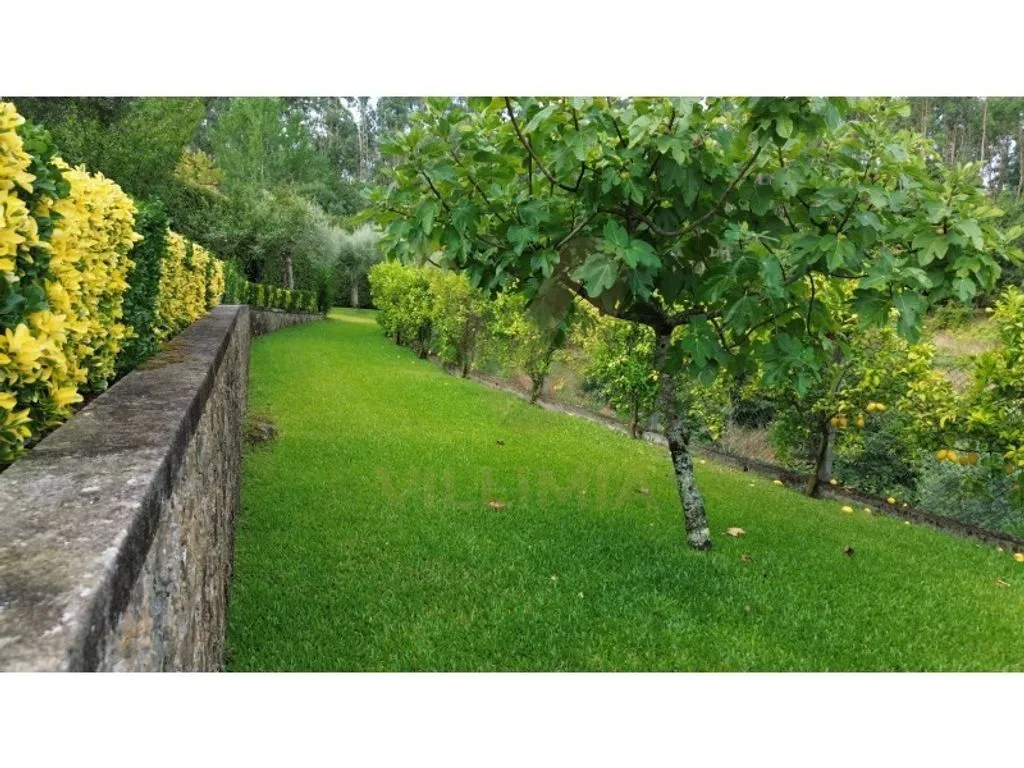 Aed - Rustic-Modern Villa with Pool in Ponte de Lima