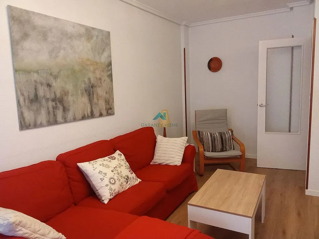 Séjour - Furnished Apartment with Terrace in Laredo