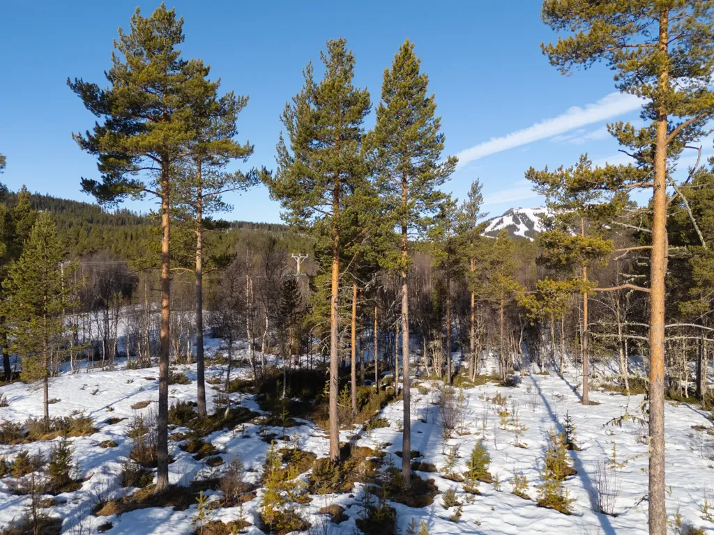 Corner Plot with Ski Access in Ljusnedal