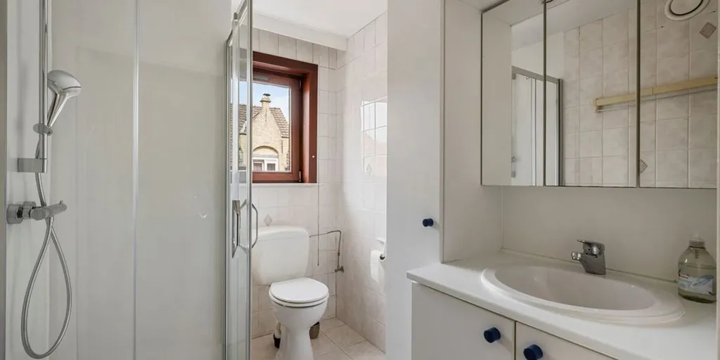 Vannitoad - Apartment with Park View in Diksmuide