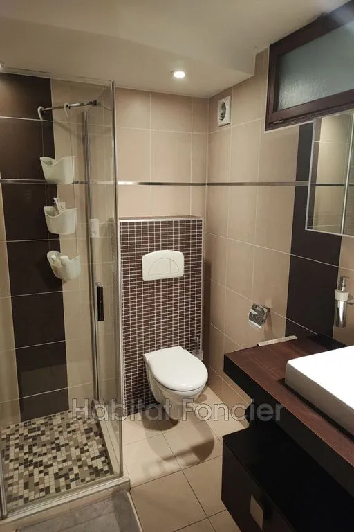 Bathrooms - South-Facing House with Pool in Saint-Cyprien
