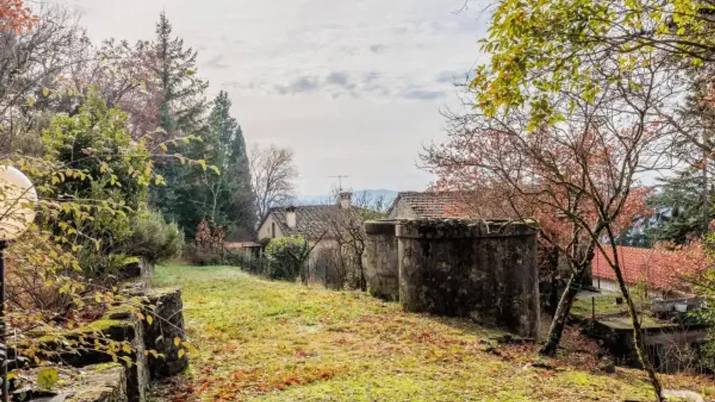 Jardin - Rustic House with Olive Grove in Selvapiana