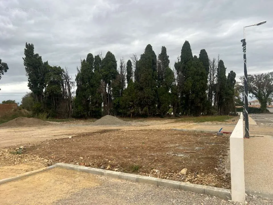 Land in Saint-Martin-De-Crau