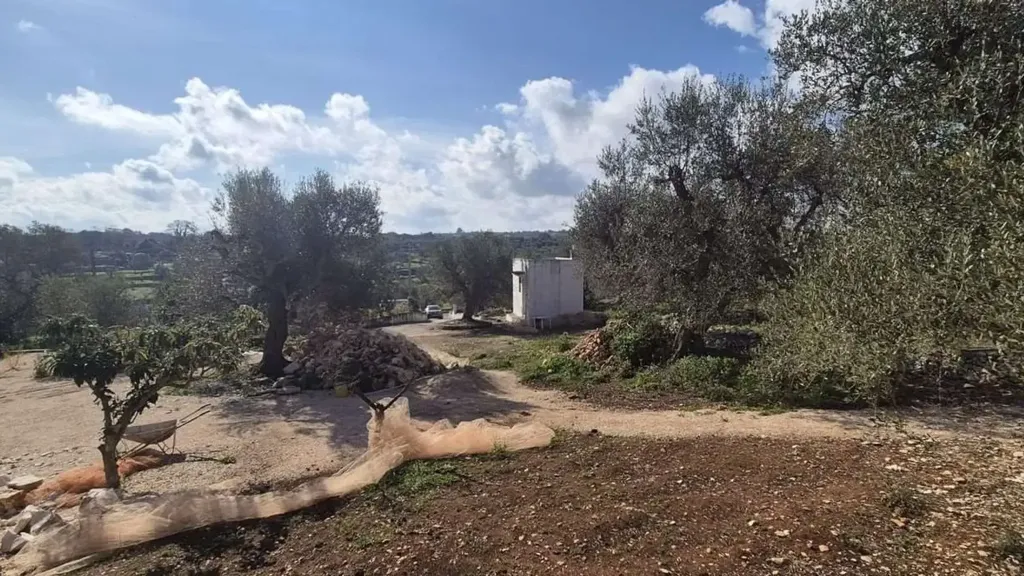 Aed - Rustic Trullo to Renovate in Ostuni