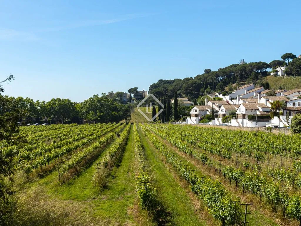 Historic Country House with Vineyards in Alella