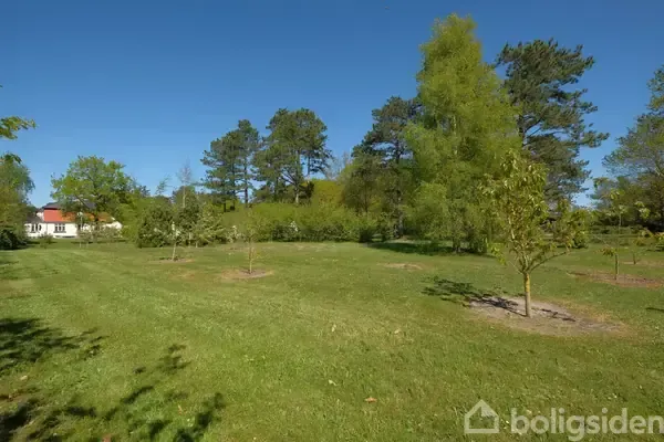Jardin - Maison à Samsø