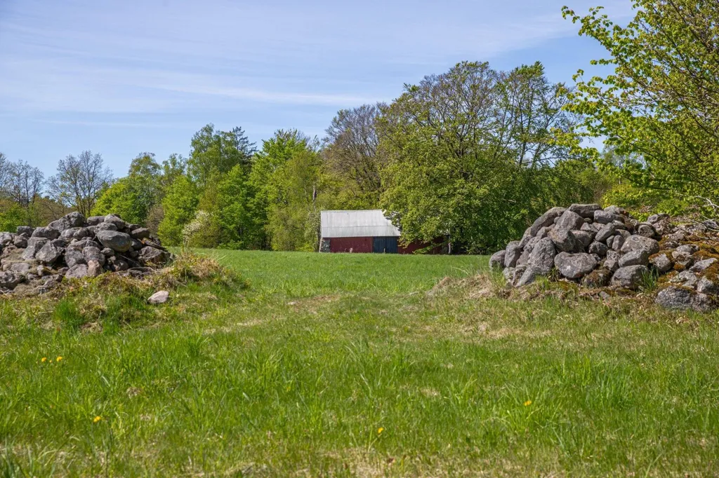 Jardin - Charming Farm with Woodland near Hjärnarp