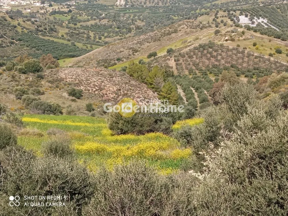 Terrain à GR