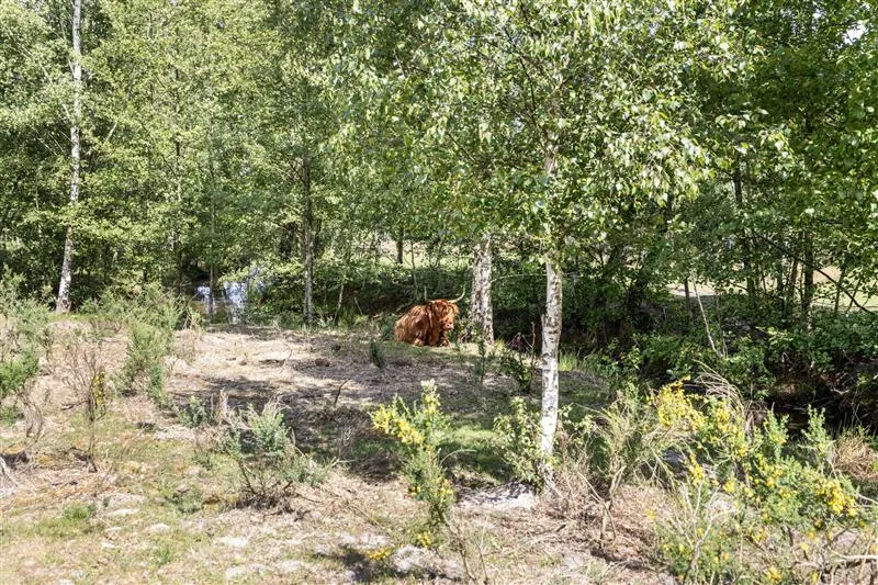 Jardin - Modern T3 with Garden in Dalem Zuid