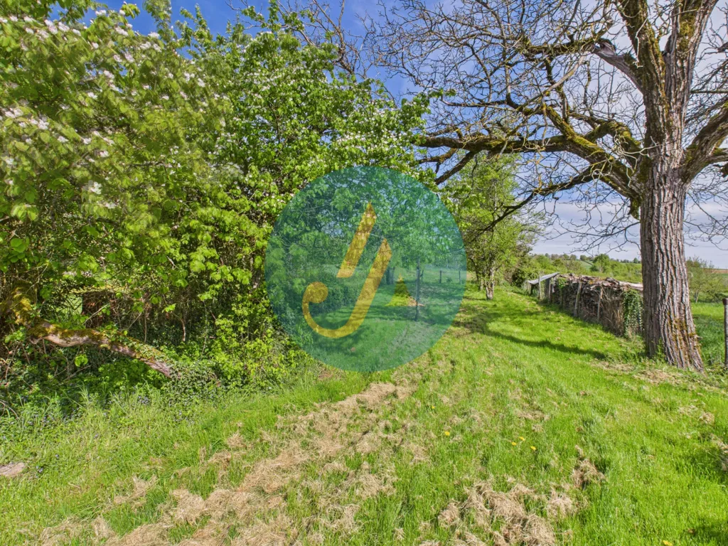 Jardin - Maison de Campagne avec Dépendances à Arbourse