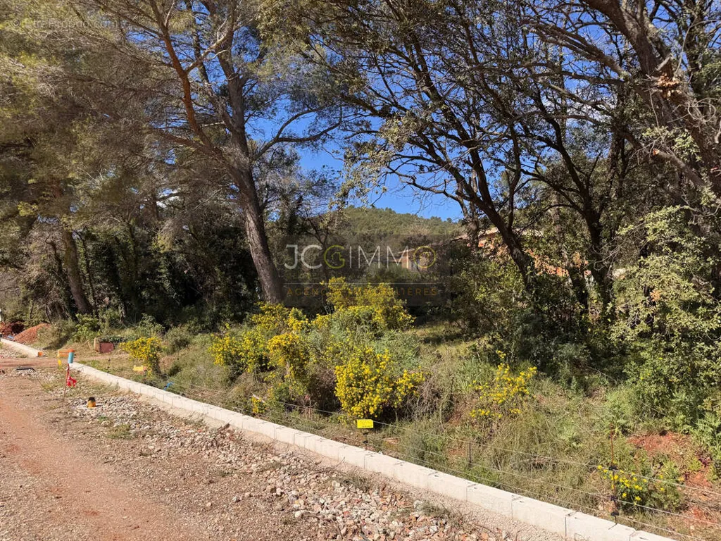 Giardino - Viabilised Plot with Pool Potential in Puget-Ville