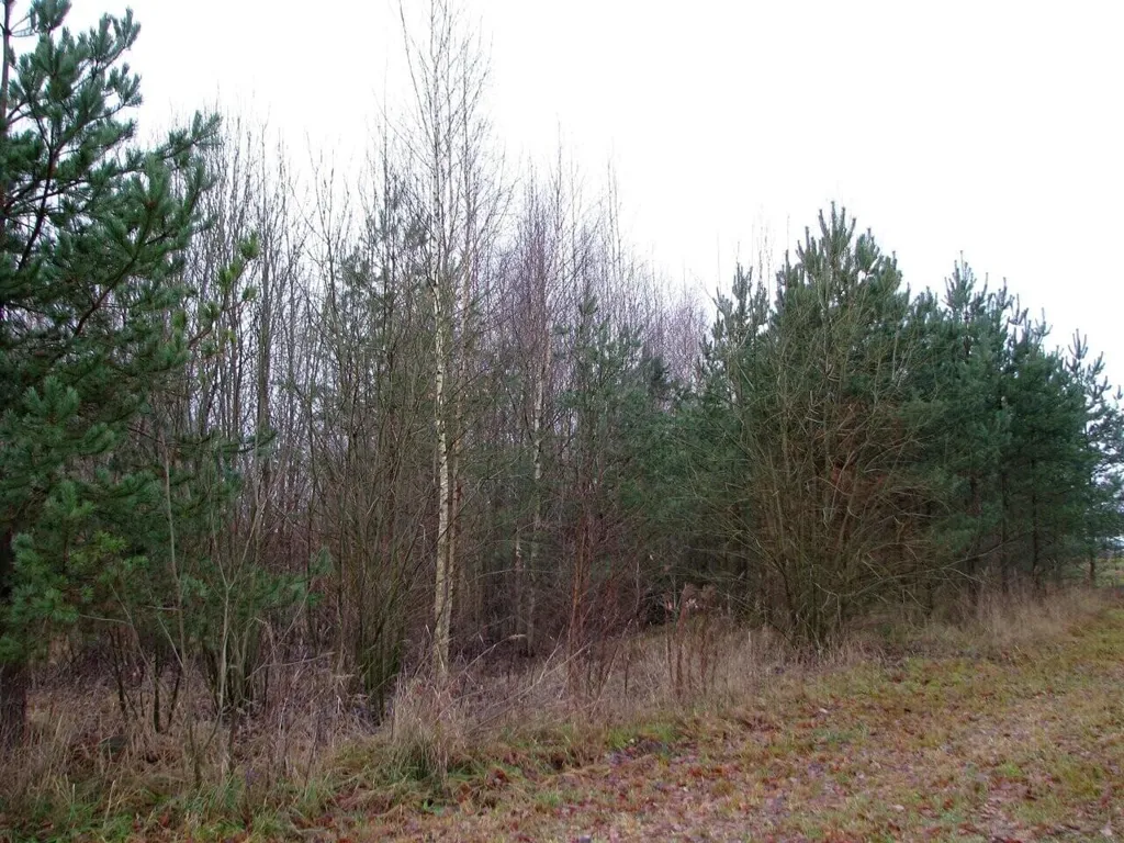 Jardin - Beautifully Located Plot with Development Potential in Estonia