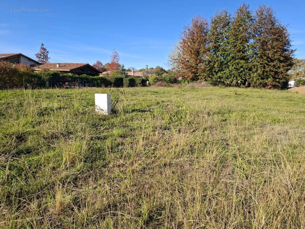 Aed - Buildable Land with Viability in Bascons
