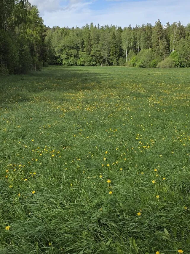 Jardin - Plot with Seafront in Sauvo, Finland