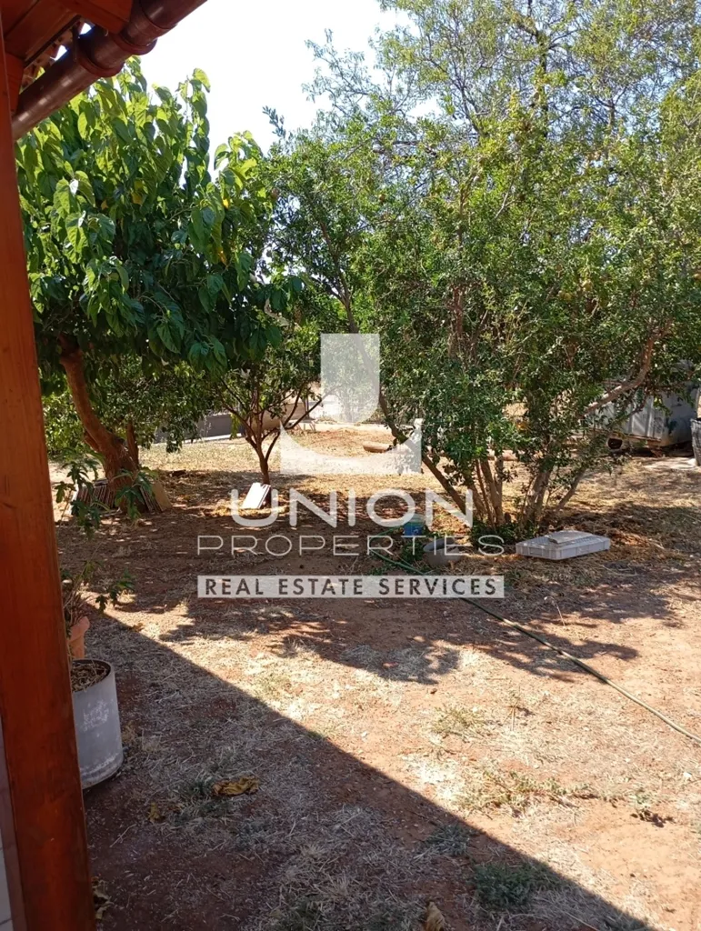 Giardino - Detached House with Sea View in Rafina