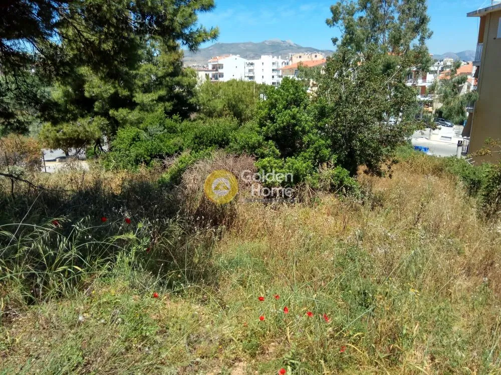 Garden - Semi-Detached House with Sea View in Rafina