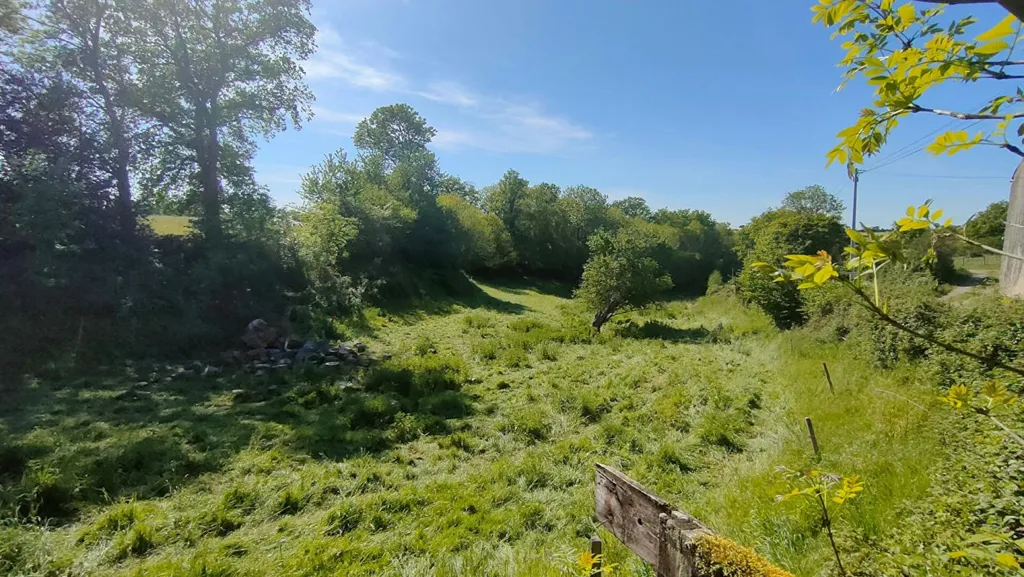 Jardin - Grange en Pierre à Rénover à La Verrie