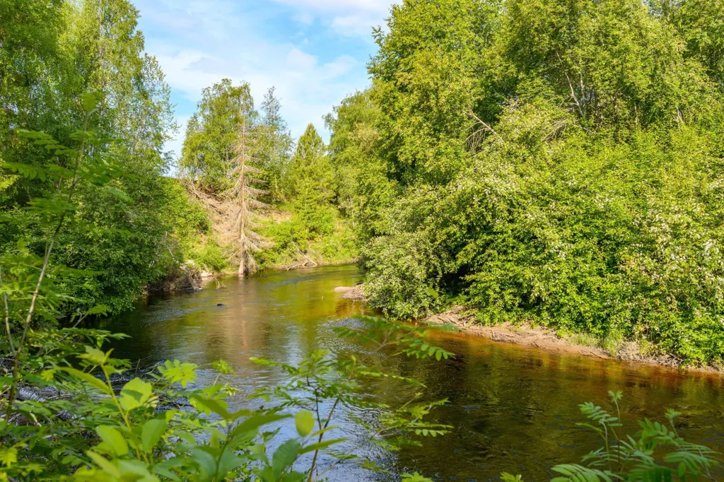 Charming Villa by the Stream in Björkom