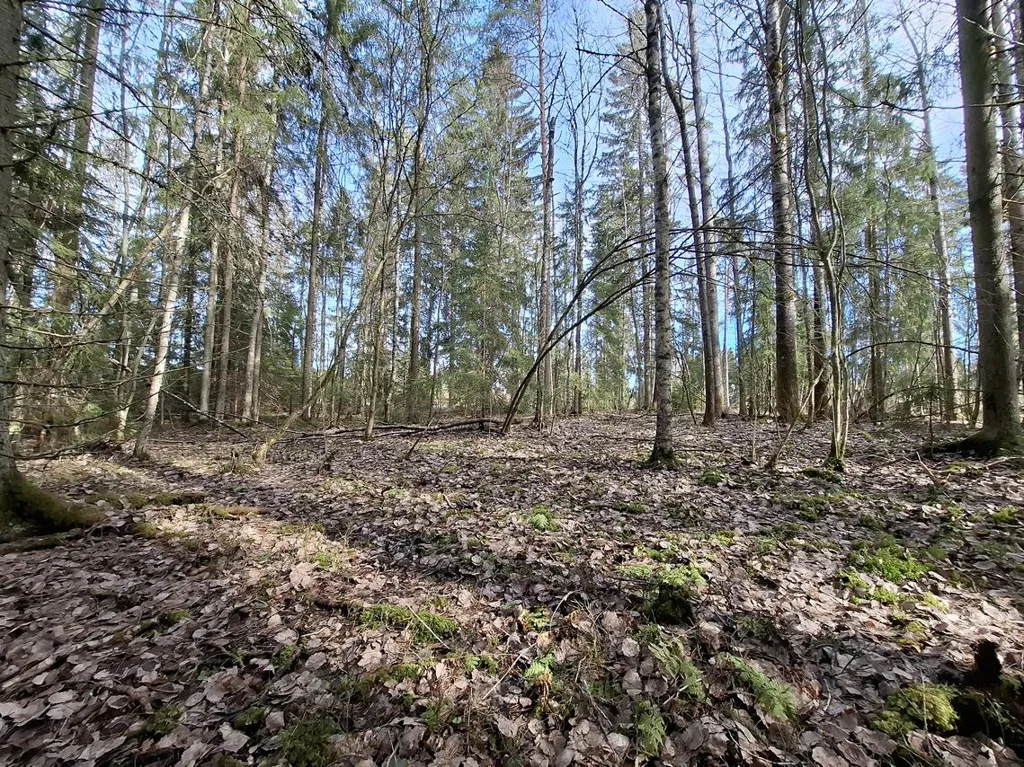 Maa asukohas Ylöjärvi