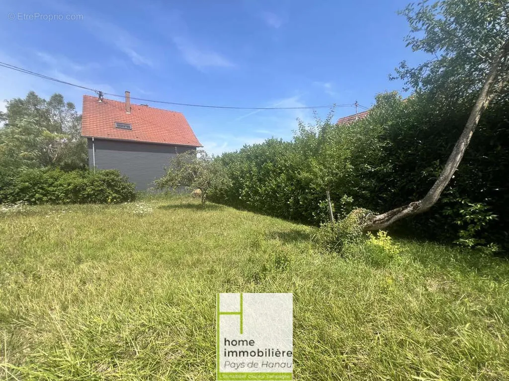 Jardin - Terrain Constructible à Bouxwiller, 821m²
