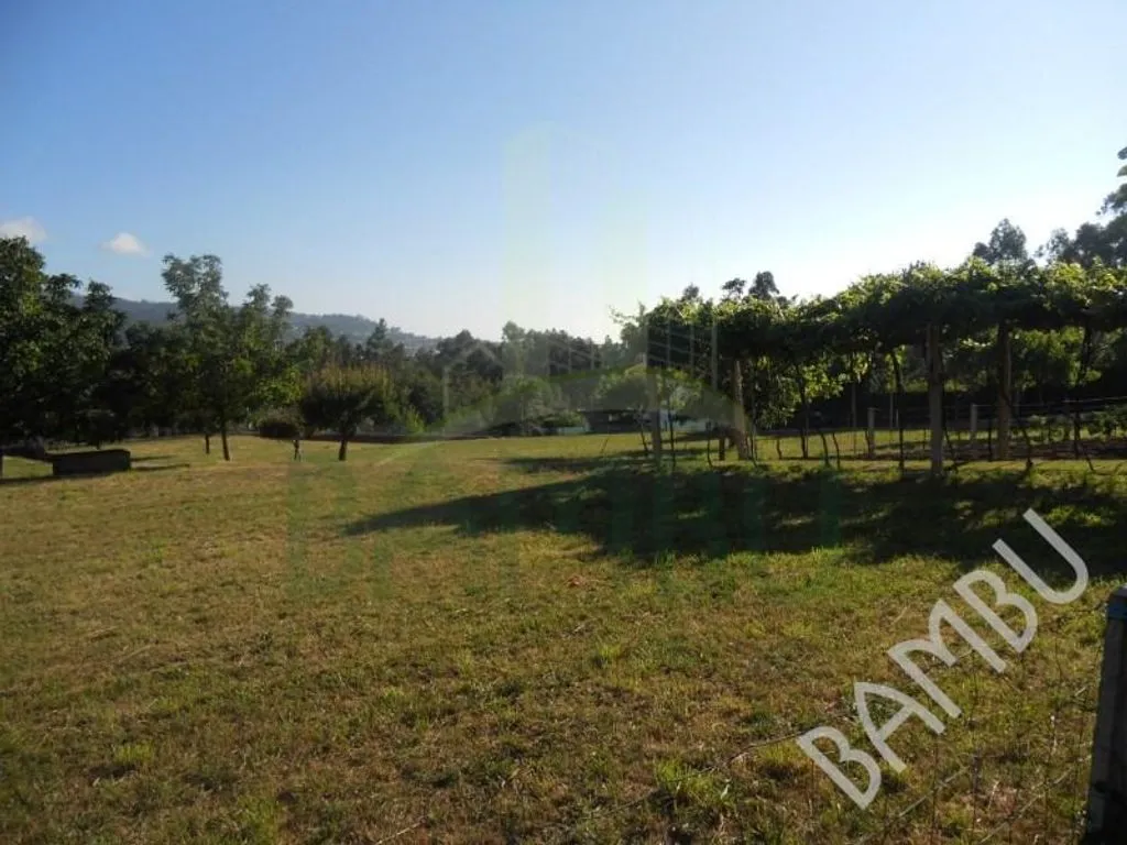 Aed - Luxury Villa with South-Facing Garden in Caminha