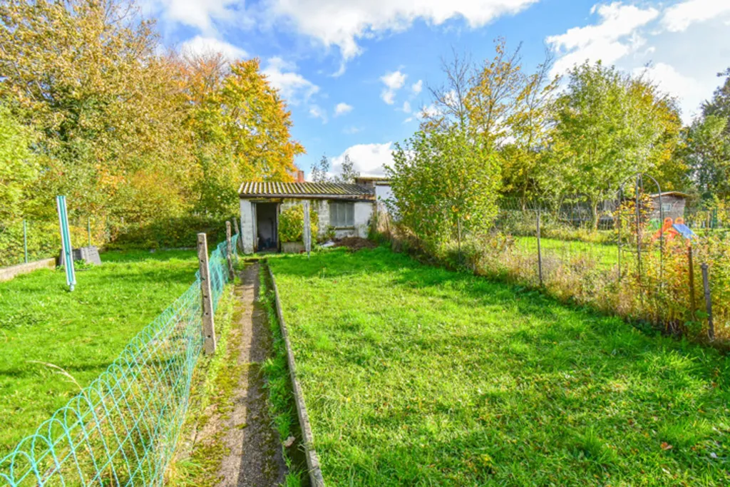 garden