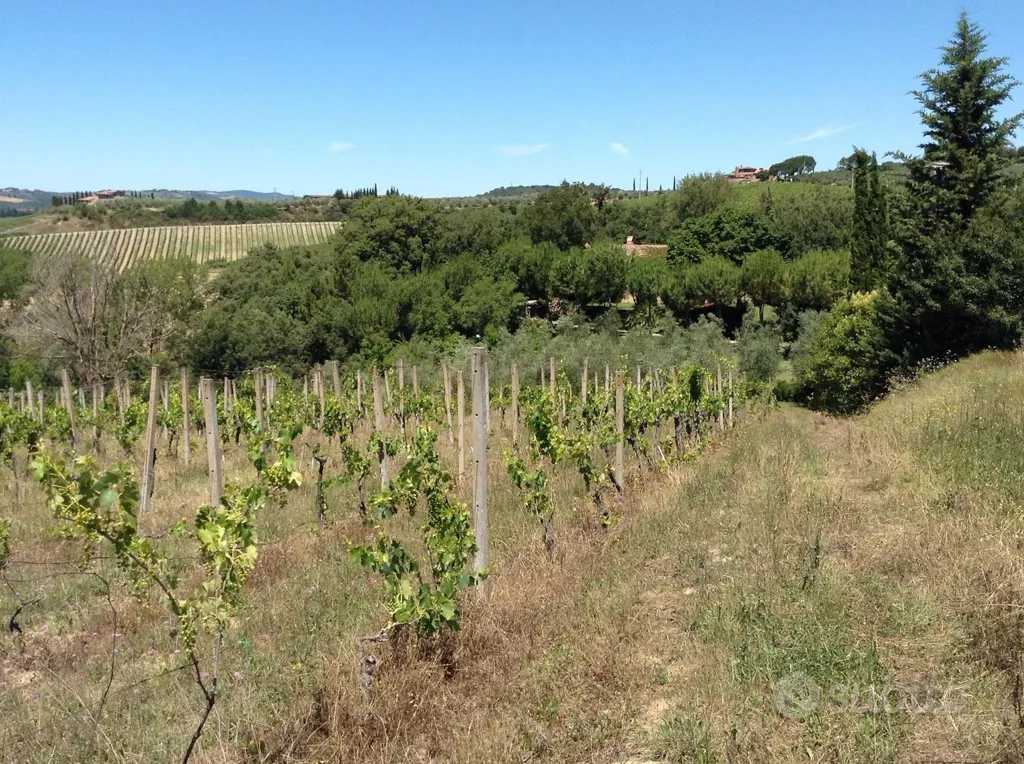 Jardin - Rented Duplex with Garden in Castelnuovo Berardenga