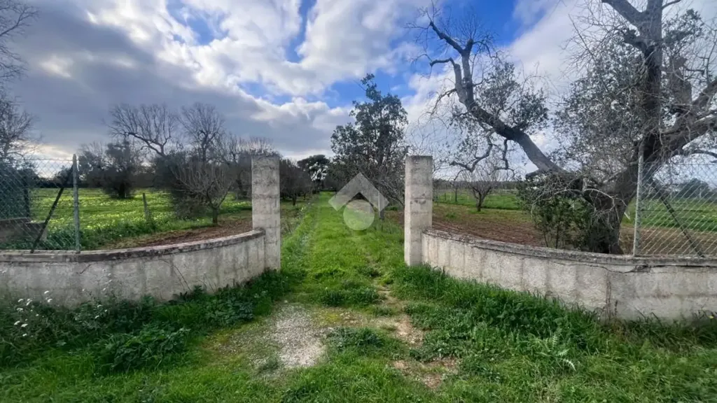 Garden - Rustic Villa with Garden in Mesagne