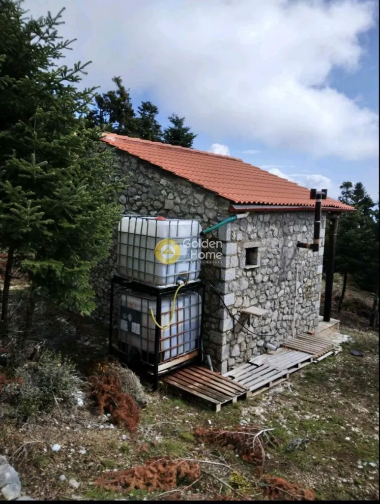 Välivaade - Apartment with Unrestricted View in Delphi Centre
