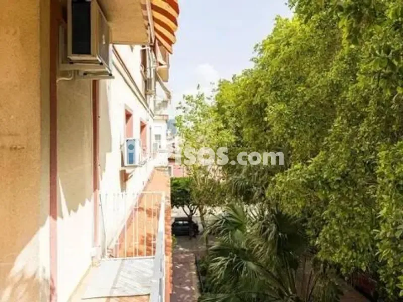 Balcon - Furnished Flat with Terrace in Vistabella