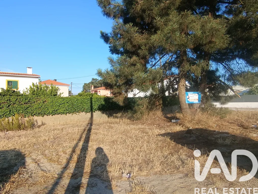 Jardin - Land with Potential in São Simão