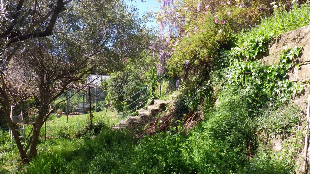 Jardin - Maison des Années 1930 avec Vue Mer à Grasse