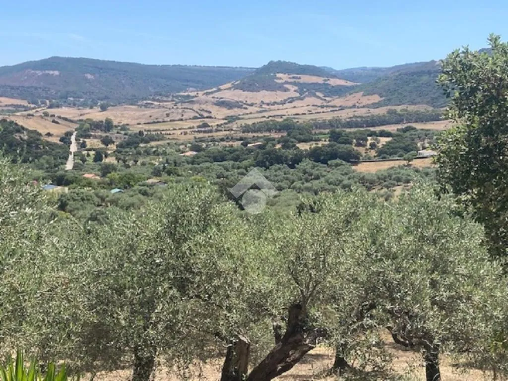 Giardino - Rustico with Olive Grove in Alghero