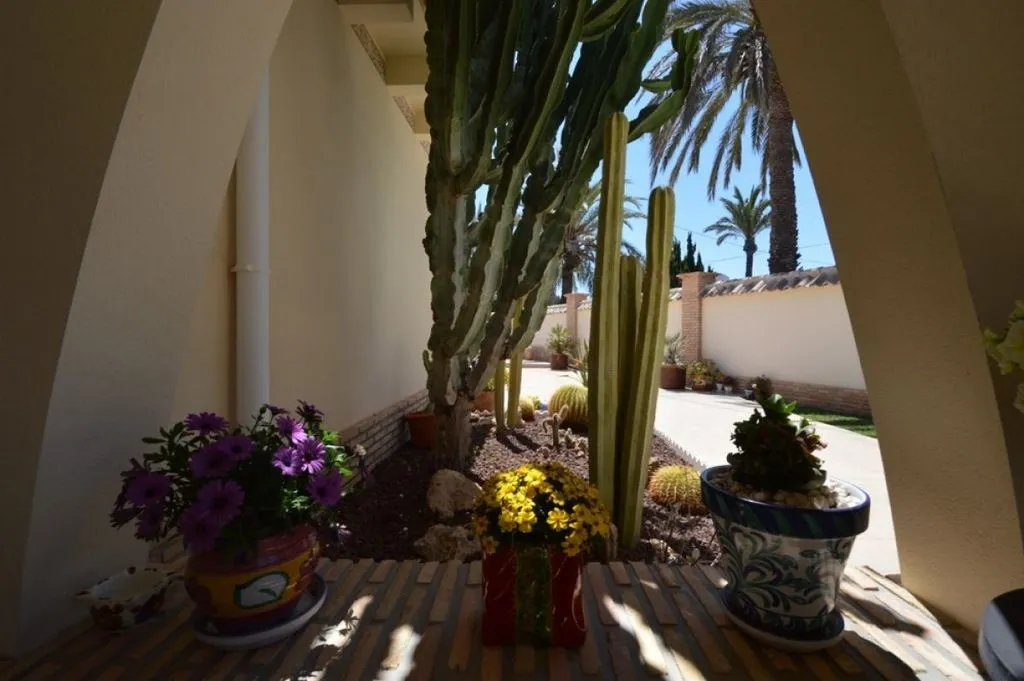 Aed - Luxury Villa with Pool in Cabo Roig, Valencia