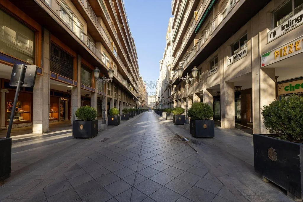 Luxury Flat with Balcony in Granada