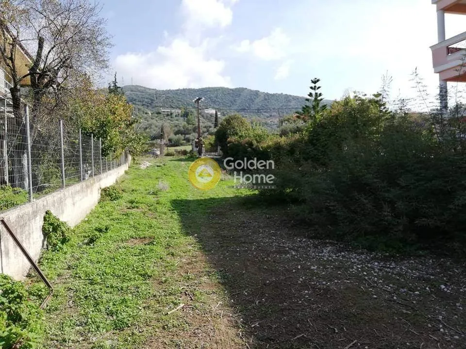 Jardin - Terrain à GR