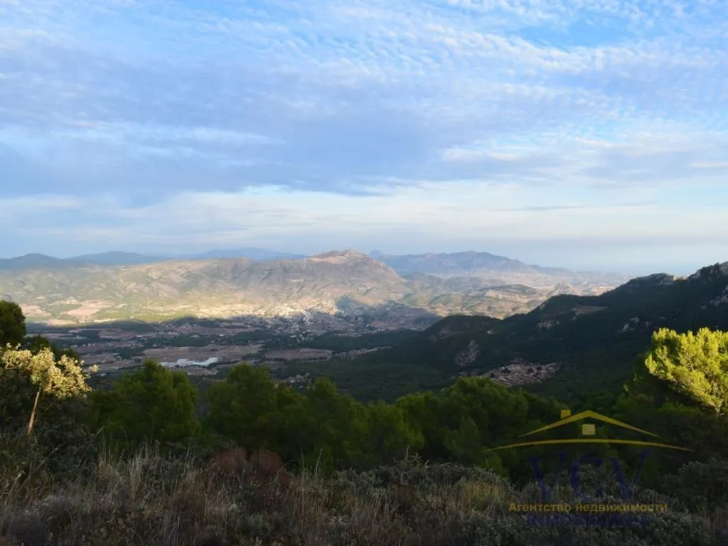 Rustic Estate with Hunting Grounds in Castalla