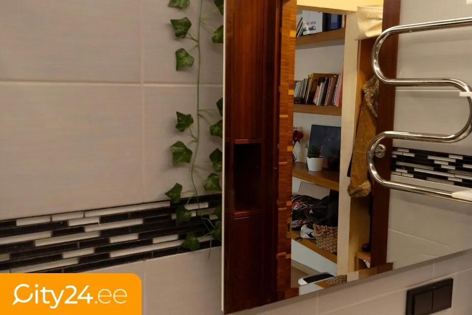 Vannitoad - Remodelled Apartment in Nõmme, Tallinn