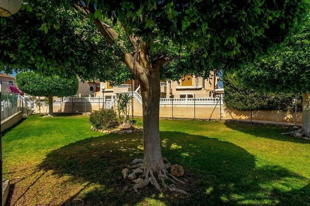 Garden - Terraced House with Pool in Torrevieja Centre