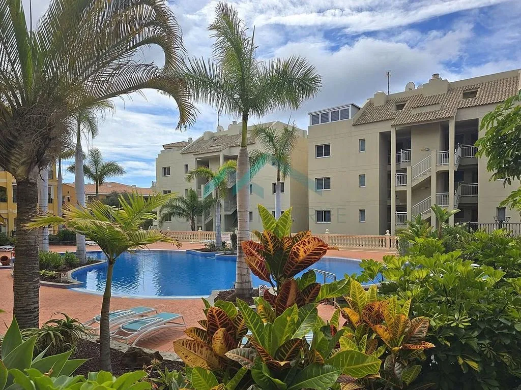 Pool - 1-Bedroom Apartment with Pool in Palm Mar